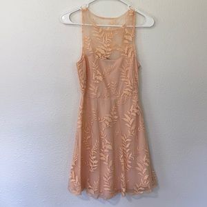 Lace Appliqué Skater Dress
